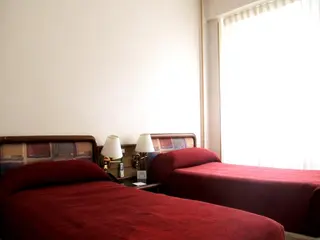 Stay Hotel Plaza San Martin 4