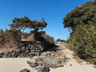 Seogwipo Pyoseoncaravan 4