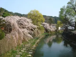 Oyado Yoshinoya 2