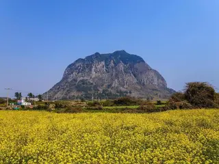 Jeju Sagaeoreum Dockchae 2