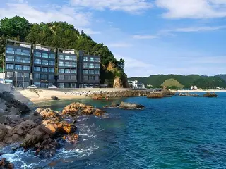 The Great Ocean Pension 4
