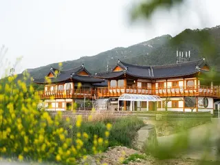 Gyeongju Jiseom Hanok Pool Villa Pension 3