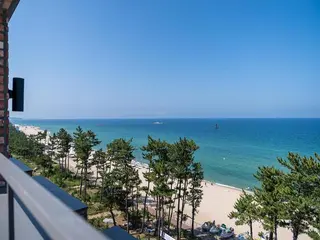 Brown Dot Gangneung Gyeongpo 4