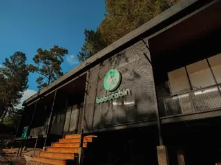 Bobocabin Kaldera Toba 4