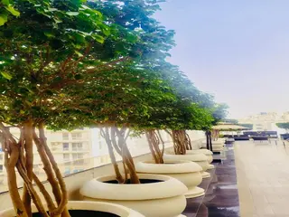 Country Inn Suites By Migrolino 4