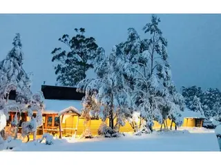 Discovery Resorts – Cradle Mountain 3