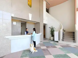 Nanki Shirahama Wan Wan Paradise 2