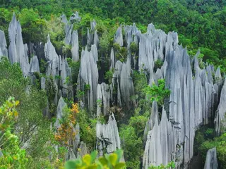 Mulu Diana Homestay 4