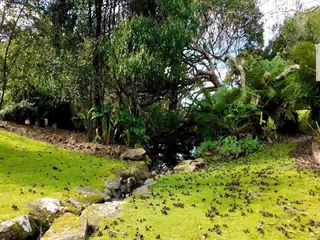 43 Degrees Bruny Island 5