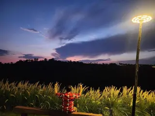 Moon Camp Khaoyai 5