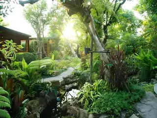 The Secret Garden Maesot 4