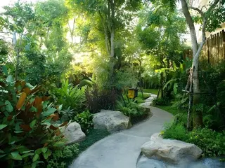 The Secret Garden Maesot 5