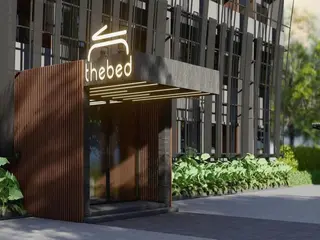 The Bed's 304 5