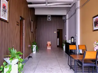 Monkey Art 5