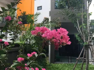 The Palm Residence 3
