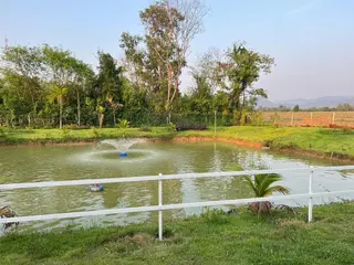 Mango Garden Resort 2