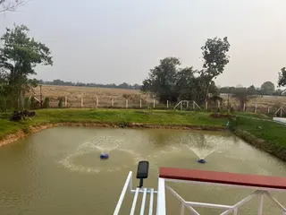 Mango Garden Resort 3
