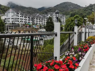 Springhill Resort 3