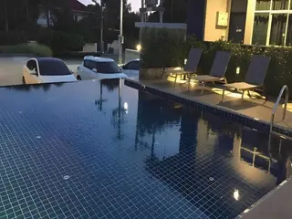 Bluebed 4