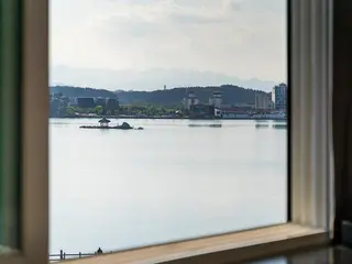 Gangneung Gyeongpodae Swan 3