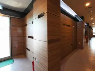 Sokcho Picasso 3