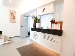 Owl Hotel 2