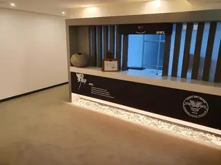 Owl Hotel 4