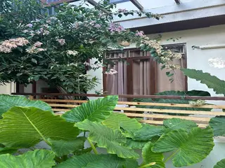 Bougainvillea Inn Maldives 2