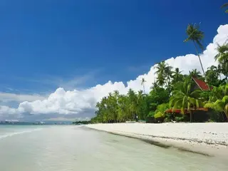 Canna Boutique Hostel 3