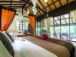 Hillside Nature Lifestyle Lodge 4