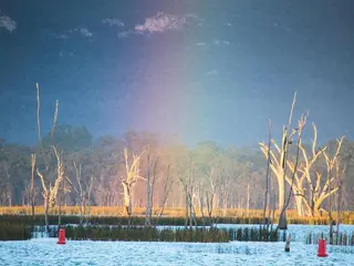 Lake Fyans Holiday Park 2