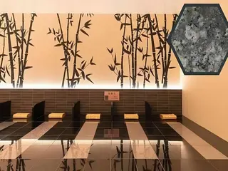 Aso Kumamoto Airport Hotel Eminence 3