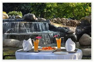 The Corbett Hideaway - IHCL Seleqtions 2