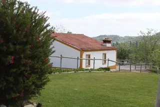 Quinta Da Alcaidaria Mor 2
