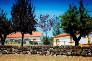 Quinta Da Alcaidaria Mor 4