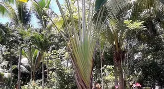 Casa De La Playa 5