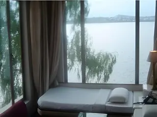 Ranjit's Lakeview 2
