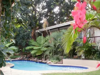 The Saffron House 5