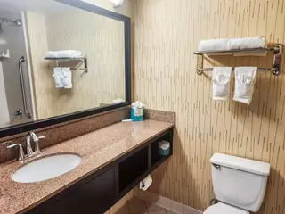 Country Inn & Suites by Radisson Tyler University 3