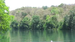 Bison River Resort 5