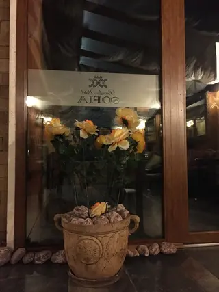 Bansko Hotel Sofia 5