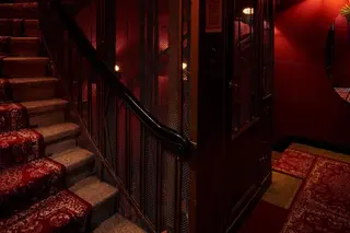 Provocateur Berlin 2