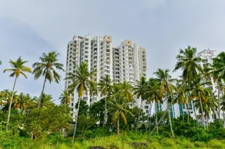 Flagship 10051 Hotel Tyche Stays 3