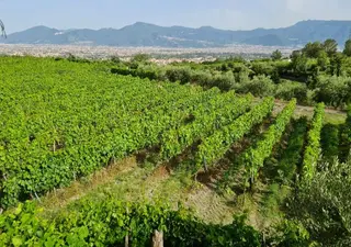 Vesuvio Inn Bed & Wine Experience 3