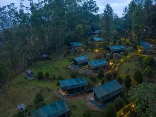 Nature Zone Jungle Resort 2