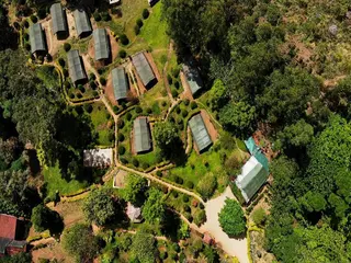 Nature Zone Jungle Resort 3