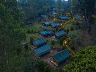 Nature Zone Jungle Resort 4