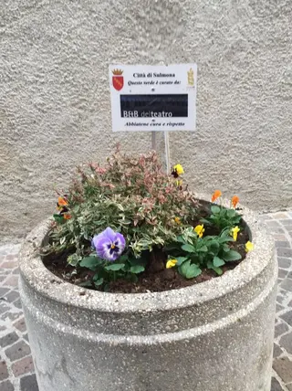 B&B Del Teatro 4