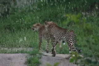 Kusudalweni Safari Lodge And Spa 2
