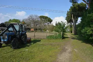 Agriturismo Tenuta Buon Respiro 5